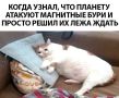 Магнитная буря завтра накроет Екатеринбург