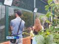 В Екатеринбургском зоопарке полностью обновили летние вольеры для экзотических птиц