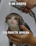 И снова дожди обещают свердловчанам синоптики