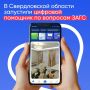 Подготовка к свадьбе онлайн — в Свердловской области запустили цифровой помощник по вопросам ЗАГС