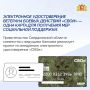 В Свердловской области доступно электронное удостоверение ветерана боевых действий «СВОи» — одна карта, которая объединяет служебный документ, банковскую и социальную функции