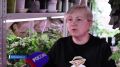 Если у вас на каждом подоконнике растения, вы знаете, что не все из них могут существовать рядом друг с другом
