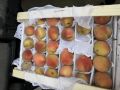 Персики с гусеницами пытались ввезти из Узбекистана в Екатеринбург