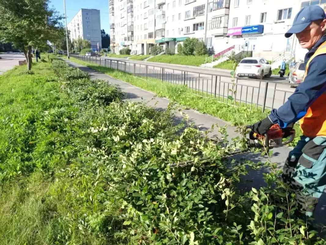 Свердловские муниципалитеты обновляют дорожную инфраструктуру возле образовательных учреждений в преддверии учебного года Свердловские муниципалитеты обновляют дорожную инфраструктуру возле образовательных учреждений в преддверии учебного года