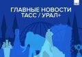 ������� ������� ���� / ����+ � ������ 31 �������:
