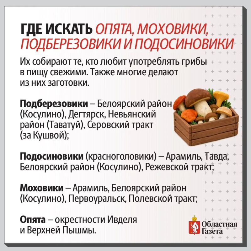 Грибная карта Свердловской области Грибная карта Свердловской области