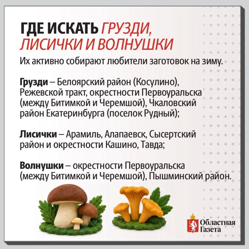 Грибная карта Свердловской области Грибная карта Свердловской области