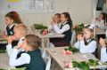 Праздничные линейки и первые уроки прошли, цветы подарены учителям, и школа снова наполнилась звонкими голосами