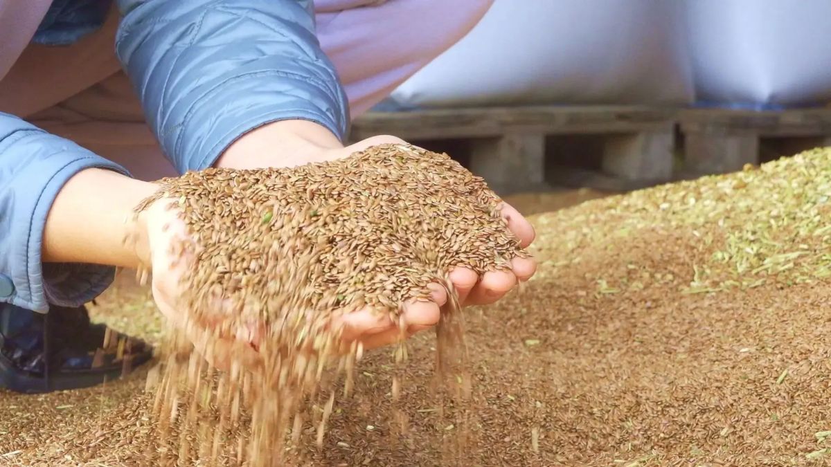 Денис Паслер: За 8 месяцев текущего года мы увеличили экспорт продукции АПК на 58,1% по сравнению с тем же периодом прошлого года Денис Паслер: За 8 месяцев текущего года мы увеличили экспорт продукции АПК на 58,1% по сравнению с тем же периодом прошлого года