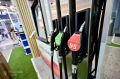 В Свердловскую область начали поставлять дополнительный объем бензина
