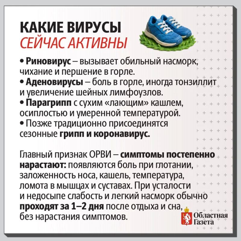 Как не заболеть в сезон простуд? Как не заболеть в сезон простуд?