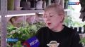 Если у вас нет дачи, вы наверняка выращиваете цветы дома