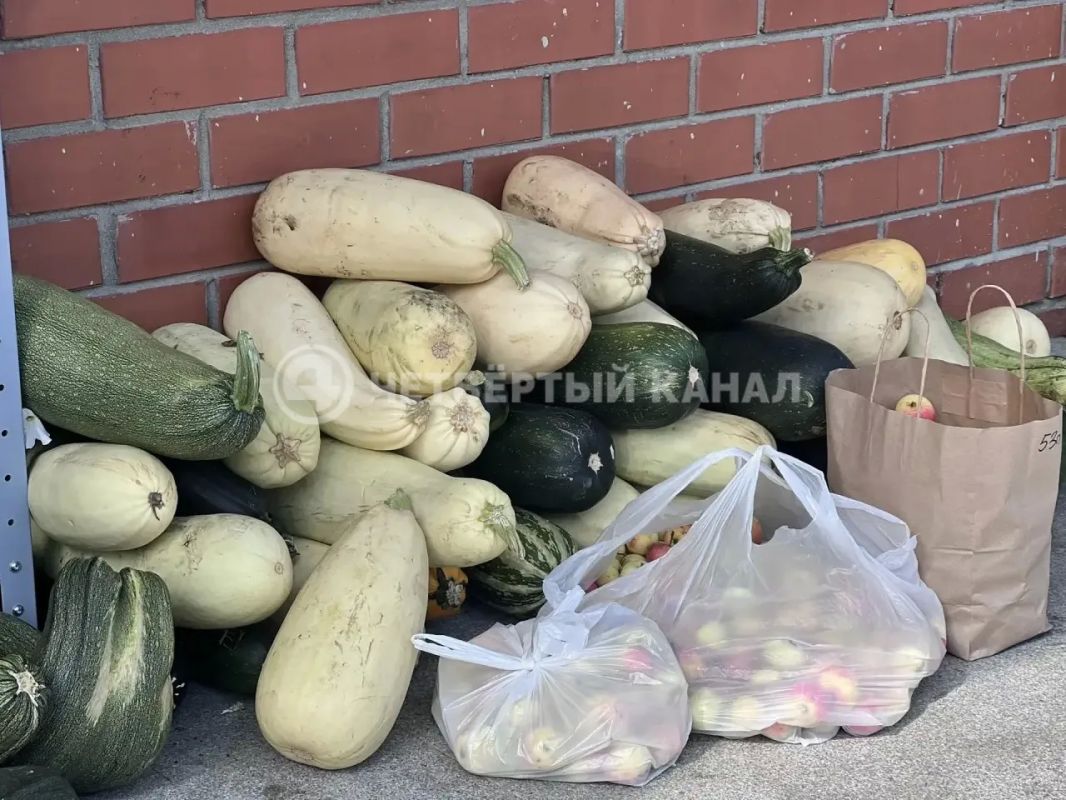 Урожаем уральцев лакомятся животные Екатеринбургского зоопарка Здесь идет традиционная акция «Помощь садоводам»: огородники приносят излишки урожая, а животные получают свежие овощи и фрукты. Сейчас в зоопарке уже приняли... Урожаем уральцев лакомятся животные Екатеринбургского зоопарка Здесь идет традиционная акция «Помощь садоводам»: огородники приносят излишки урожая, а животные получают свежие овощи и фрукты. Сейчас в зоопарке уже приняли...