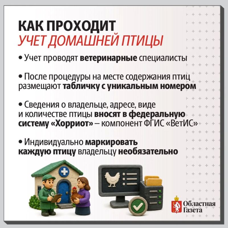 Зачем регистрировать кур?. В россии введены новые правила для владельцев личных подсобных хозяйств Зачем регистрировать кур?. В россии введены новые правила для владельцев личных подсобных хозяйств