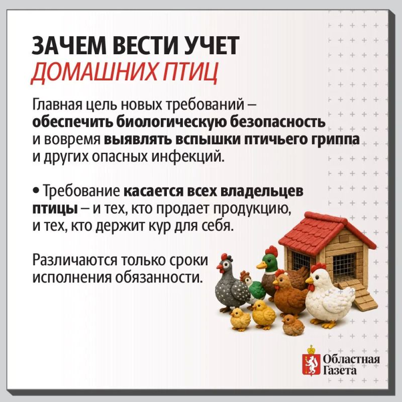 Зачем регистрировать кур?. В россии введены новые правила для владельцев личных подсобных хозяйств Зачем регистрировать кур?. В россии введены новые правила для владельцев личных подсобных хозяйств