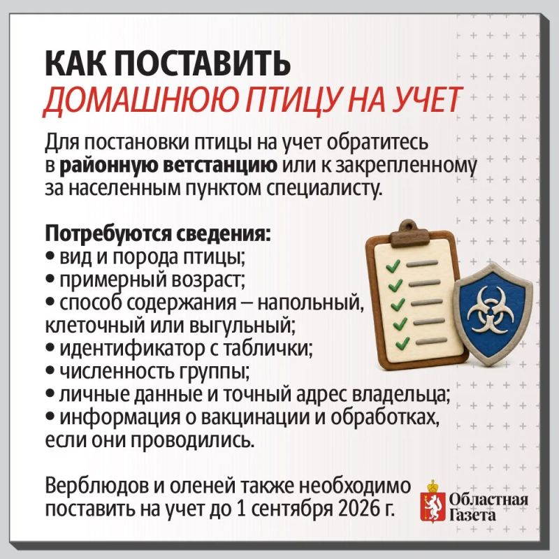 Зачем регистрировать кур?. В россии введены новые правила для владельцев личных подсобных хозяйств Зачем регистрировать кур?. В россии введены новые правила для владельцев личных подсобных хозяйств
