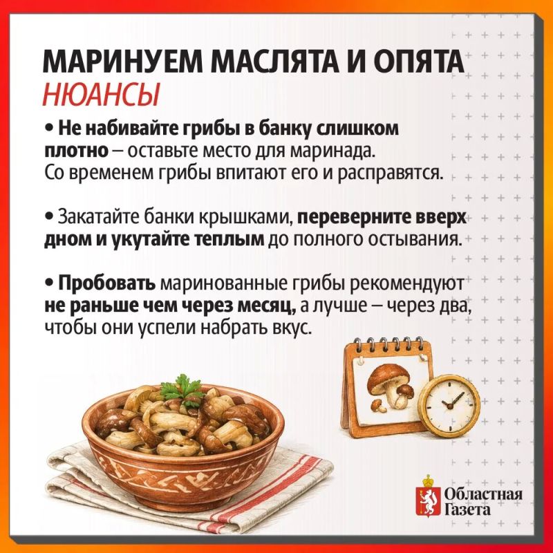 Правильно и вкусно маринуем маслята и опята Правильно и вкусно маринуем маслята и опята