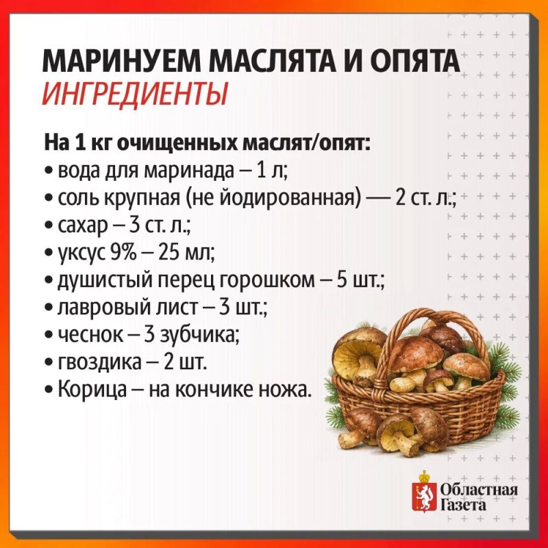 Правильно и вкусно маринуем маслята и опята Правильно и вкусно маринуем маслята и опята