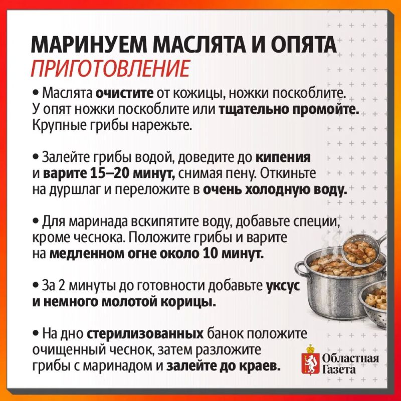 Правильно и вкусно маринуем маслята и опята Правильно и вкусно маринуем маслята и опята