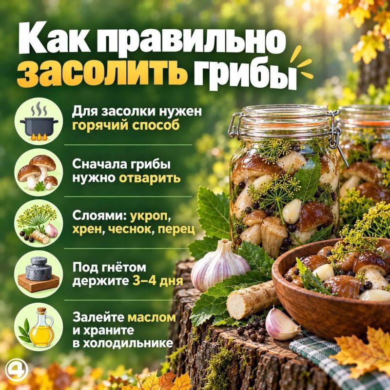 Что делать с грибами?. Белые, рыжики, грузди и опята - уральцы приносят из лесов килограммы грибов Что делать с грибами?. Белые, рыжики, грузди и опята - уральцы приносят из лесов килограммы грибов