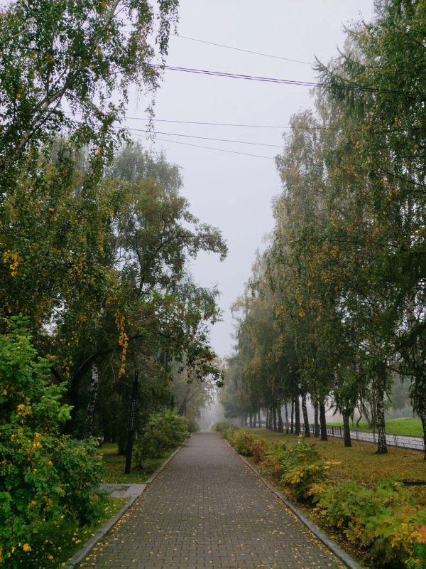 Доброе туманное, #нижнийтагил Доброе туманное, #нижнийтагил