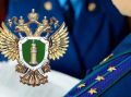 В Нижней Туре прокуратура добивается подключения дома многодетной семьи к сети газорапределения в рамках догазификации