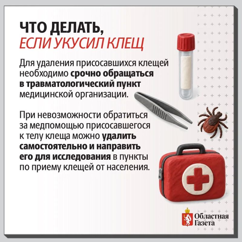 Клещи продолжают атаковать свердловчан Клещи продолжают атаковать свердловчан