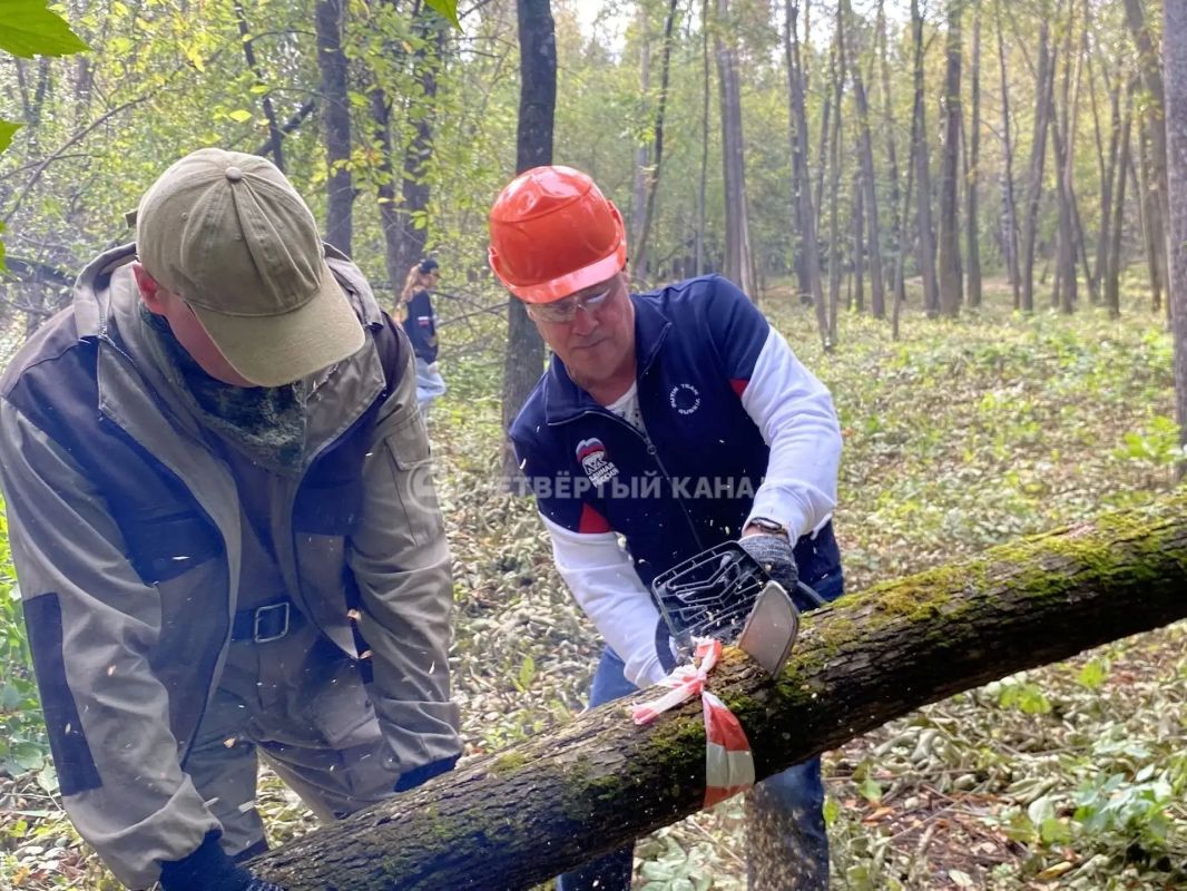 Основинский парк дважды был вторым, но всё-таки получит обновление Основинский парк дважды был вторым, но всё-таки получит обновление