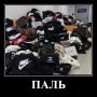 ������ ���� Prada, Louis Vuitton � Chanel �� 2,5 ��� ������ � ���������� ��������