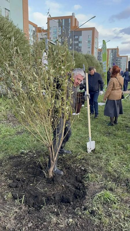 «Аллею народного единства» заложили в Преображенском парке Екатеринбурга «Аллею народного единства» заложили в Преображенском парке Екатеринбурга