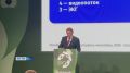 Гуляем по полям Международного фестиваля молодежи