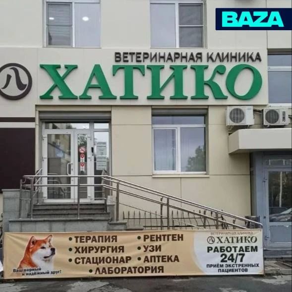 В Екатеринбурге питбуль скончался в ветклинике «Хатико», так и не дождавшись своевременной помощи — нужный препарат ему ввели лишь спустя восемь часов В Екатеринбурге питбуль скончался в ветклинике «Хатико», так и не дождавшись своевременной помощи — нужный препарат ему ввели лишь спустя восемь часов