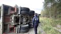 Лишение права управления грозит водителю пассажирского автобуса, попавшего в ДТП на трассе «Николо-Павловское — Петрокаменское — Алапаевск»