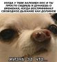 Заложенный нос - частый атрибут осени