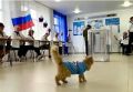 Избирательные участки в УрФО закрылись, завершилось трехдневное голосование