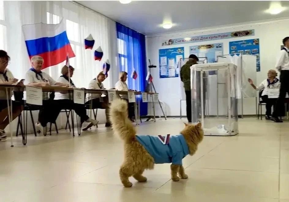 Избирательные участки в УрФО закрылись, завершилось трехдневное голосование
