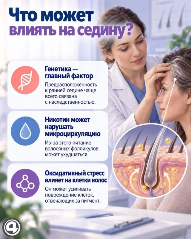 Как курение вейпов влияет на рост седых волос, рассказал эксперт Как курение вейпов влияет на рост седых волос, рассказал эксперт
