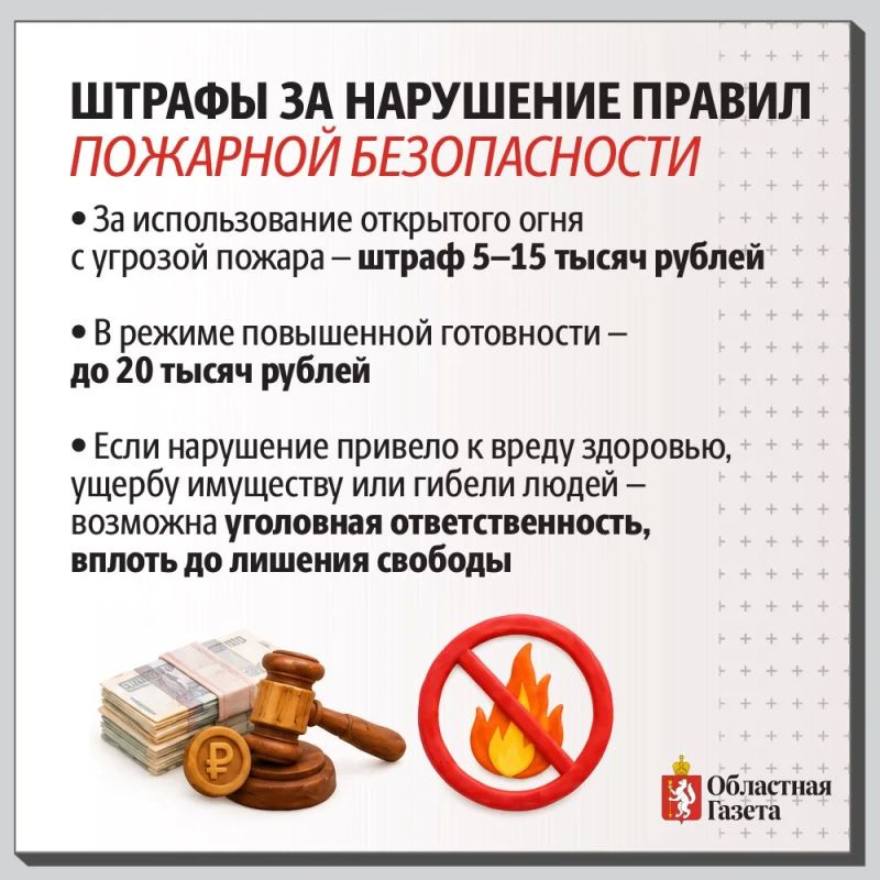 Как правильно сушить овощную яму: безопасные способы и смертельные ошибки Как правильно сушить овощную яму: безопасные способы и смертельные ошибки