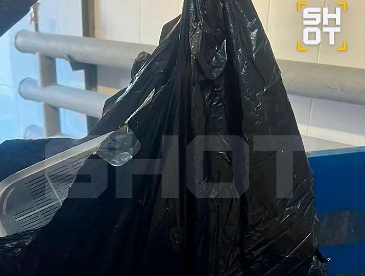 В Екатеринбурге женщина отнесла на помойку в завязанном пакете рыжего котенка В Екатеринбурге женщина отнесла на помойку в завязанном пакете рыжего котенка