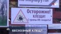 Энцефалитный клещ убил ребенка в Свердловской области