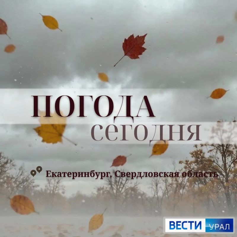 Теплый осенний день ждёт свердловчан: смотрим прогноз погоды