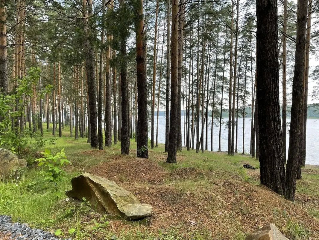 Свердловские лесничие провели более 13 тысяч патрулирований с начала 2026 года Свердловские лесничие провели более 13 тысяч патрулирований с начала 2026 года