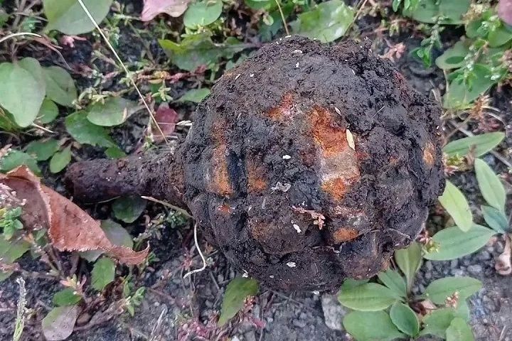 Под Екатеринбургом обезвредили немецкую гранату Под Екатеринбургом обезвредили немецкую гранату