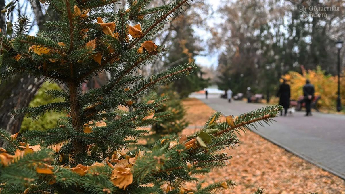 На Свердловскую область надвигаются первые заморозки