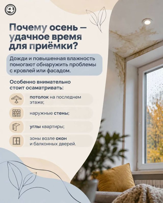 Осень — лучшее время проверить квартиру: какие дефекты проще заметить до холодов Осень — лучшее время проверить квартиру: какие дефекты проще заметить до холодов
