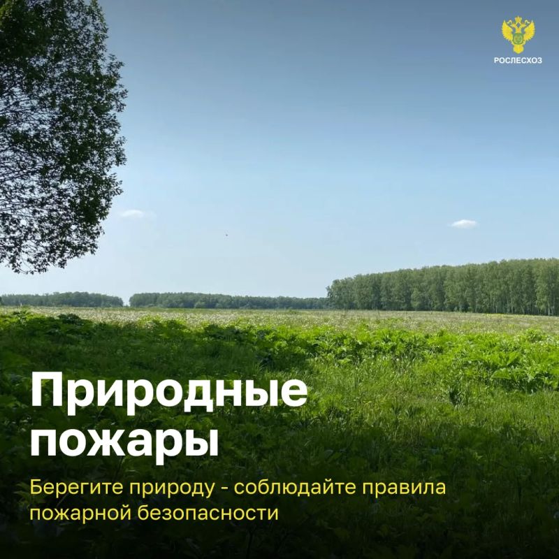 Впереди - выходные - прекрасная возможность провести время с семьей, выбрать занятие по душе