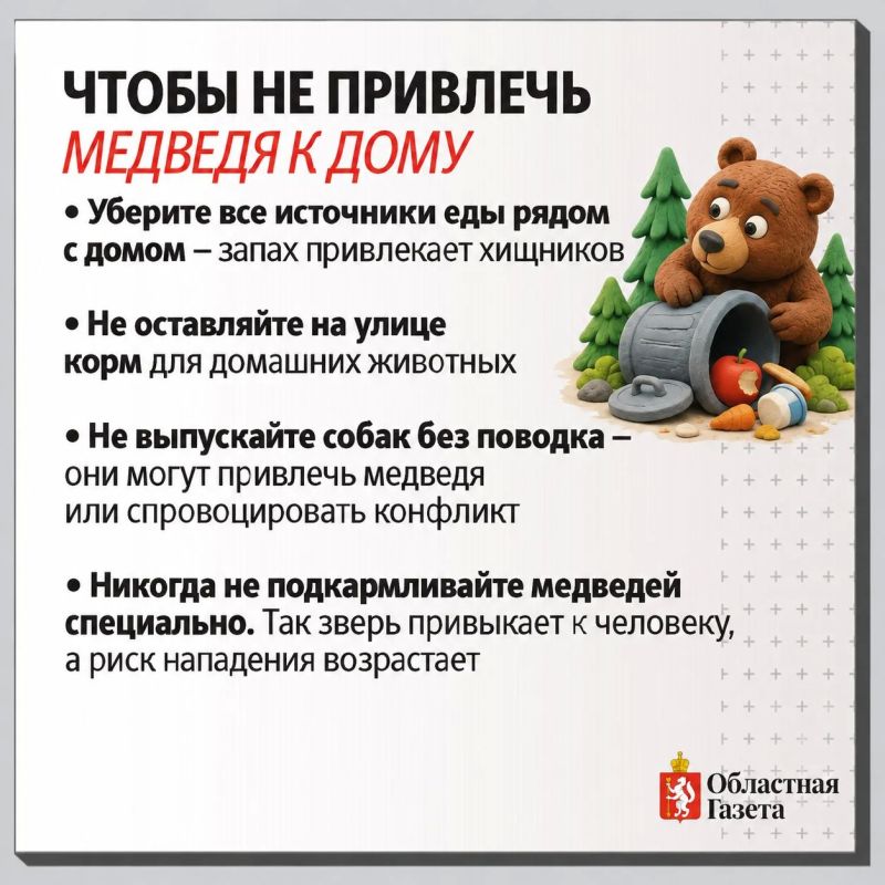 За 20 лет численность медведей выросла вдвое: почему свердловчане все чаще встречают хищников и как от них защититься За 20 лет численность медведей выросла вдвое: почему свердловчане все чаще встречают хищников и как от них защититься