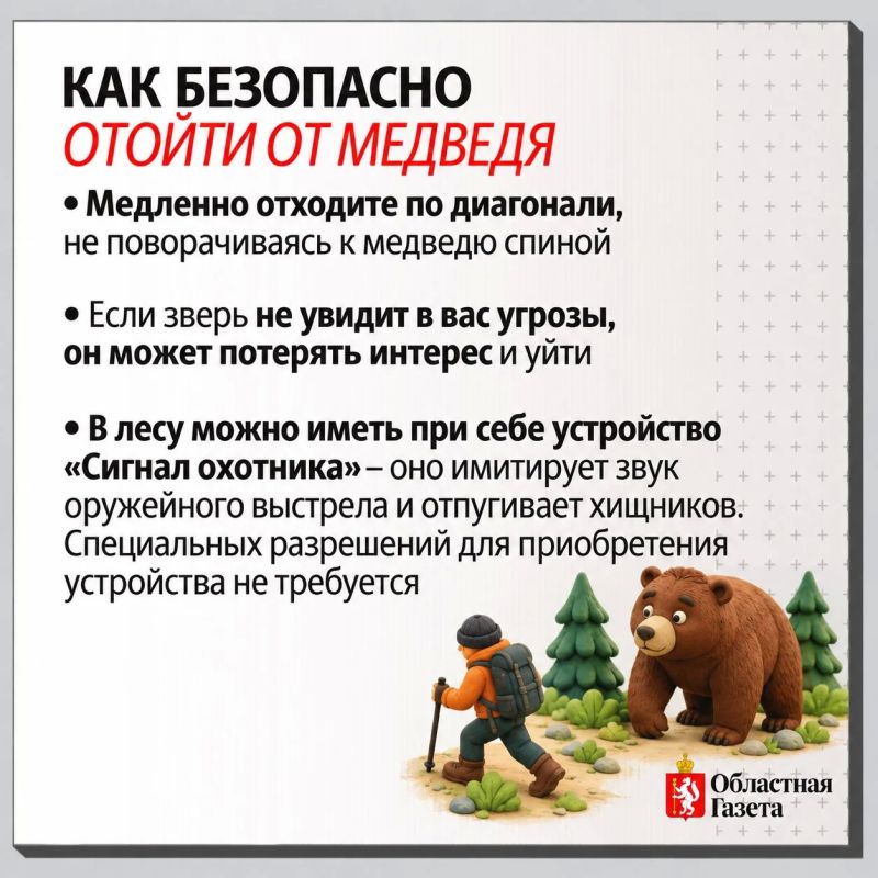 За 20 лет численность медведей выросла вдвое: почему свердловчане все чаще встречают хищников и как от них защититься За 20 лет численность медведей выросла вдвое: почему свердловчане все чаще встречают хищников и как от них защититься