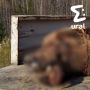 ������� ������� ��������� �� ������������ ������� � �������� ��� ������