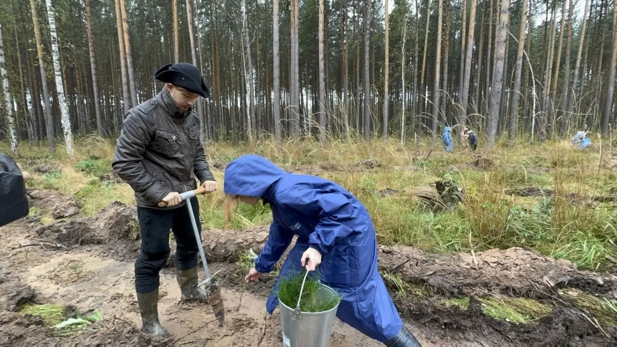 Более 168 тысячи деревьев высадили в Свердловской области в рамках акции «Сохраним лес» Более 168 тысячи деревьев высадили в Свердловской области в рамках акции «Сохраним лес»
